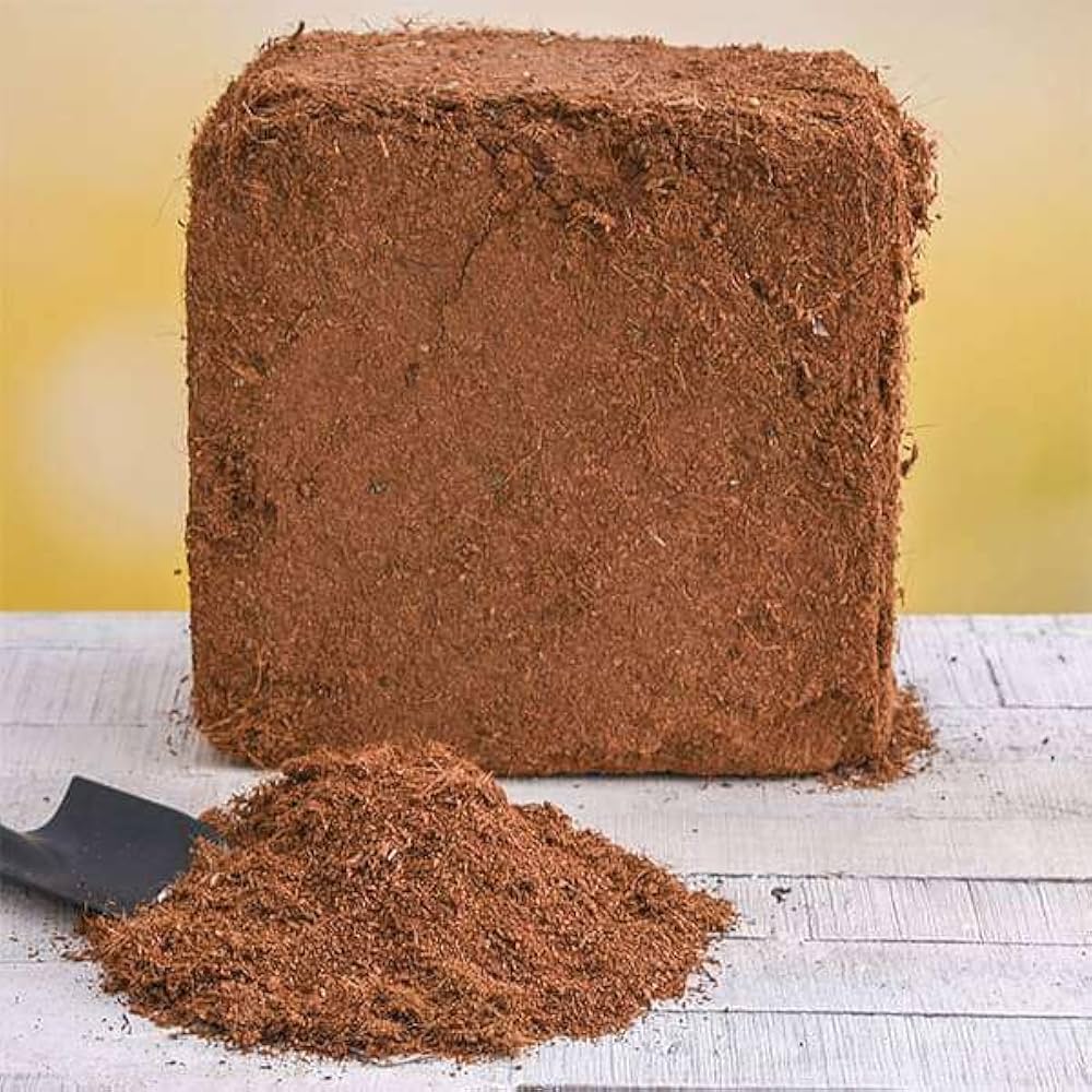 Cocopeat (1 KG)